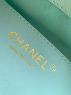 Bolsa Hobo  Chanel 25 Handbag Small