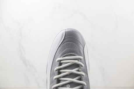 Jordan 12 Stealth