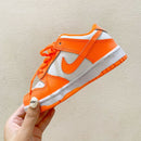 Nike SB Dunk Low Orange Infantil