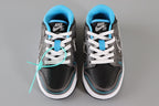 Nike Dunk Low  Surfista Prateado Infantil