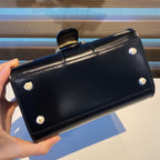 Delvaux Brillant Mini Studs Black