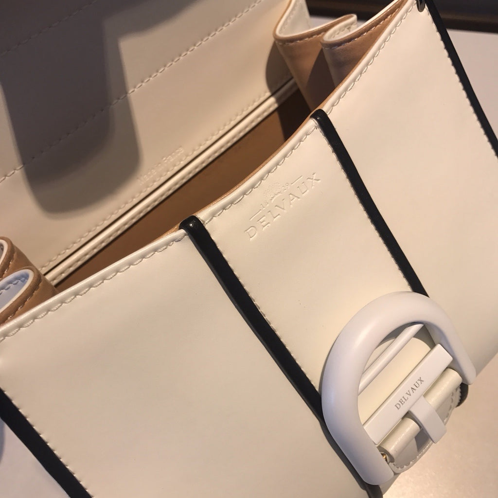Delvaux Brillant Mini Leather Bag White / Black details