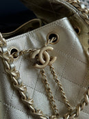 Bolsa Hobo  Chanel 25 Metalica
