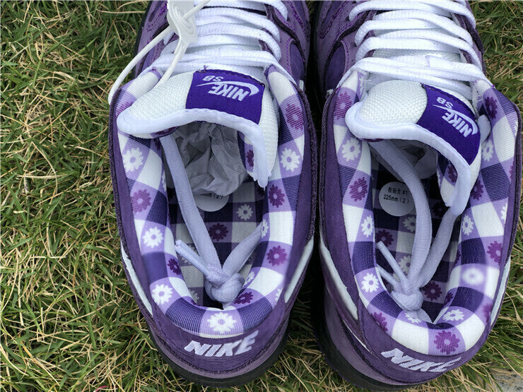 Nike SB Dunk Low Concepts Purple Lobster BV1310-555 – Manfrim Store