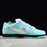Nike Low SB Dunk X Concepts