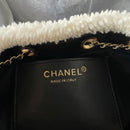 Chanel 25 Hobo Bag Small