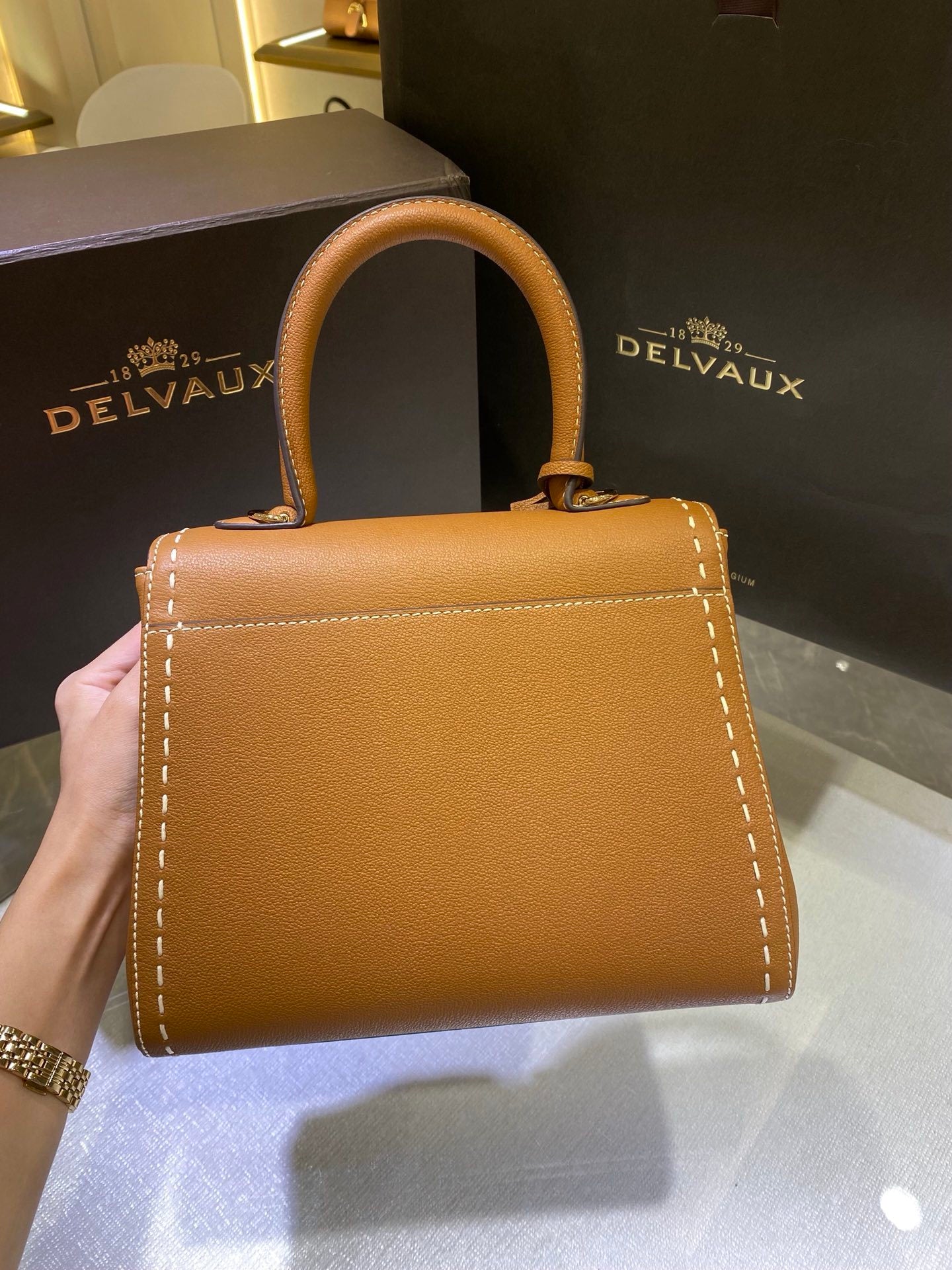 Delvaux Brillant Mini Leather Bag Camel Ferragens Douradas