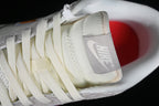 Nike Dunk Low Sail Iridescent Swoosh HF5074-133