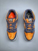 Nike SB Dunk Low Pro Carbon