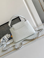 Louis Vuitton Capucines Mini
