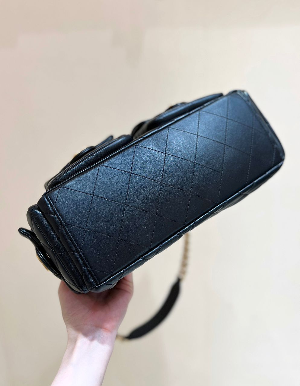 Chanel Hobo Cruise 25