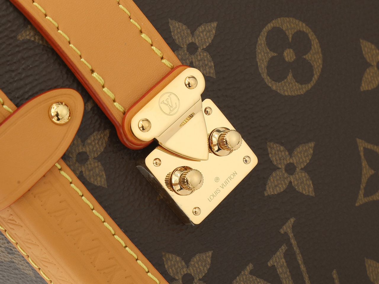 Bolsa Louis Vuitton Side Trunk MM