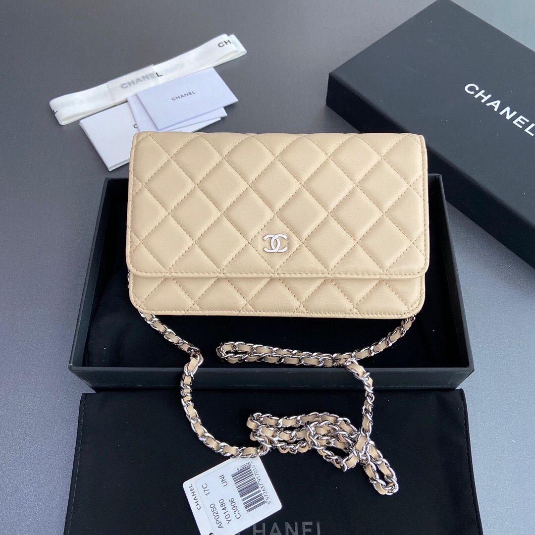 Chanel Wallet On Chain Beige Silver Hardware .