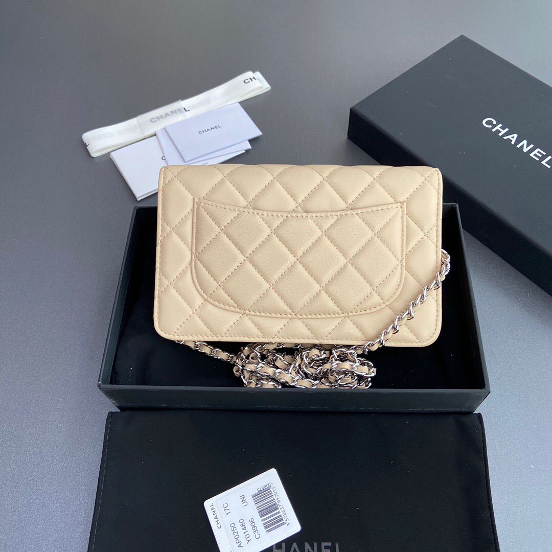 Chanel Wallet On Chain Beige Silver Hardware .