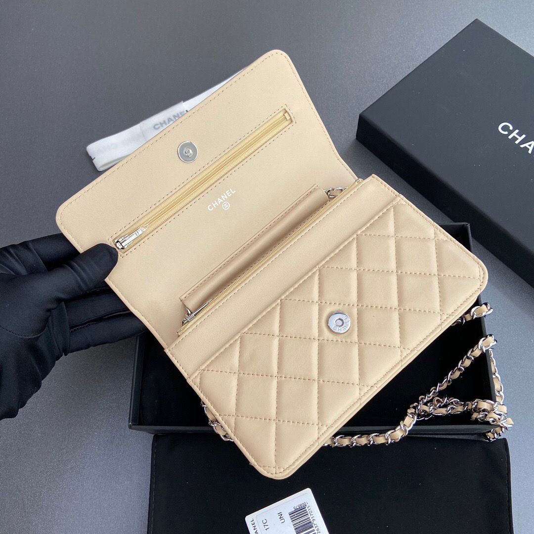Chanel Wallet On Chain Beige Silver Hardware .