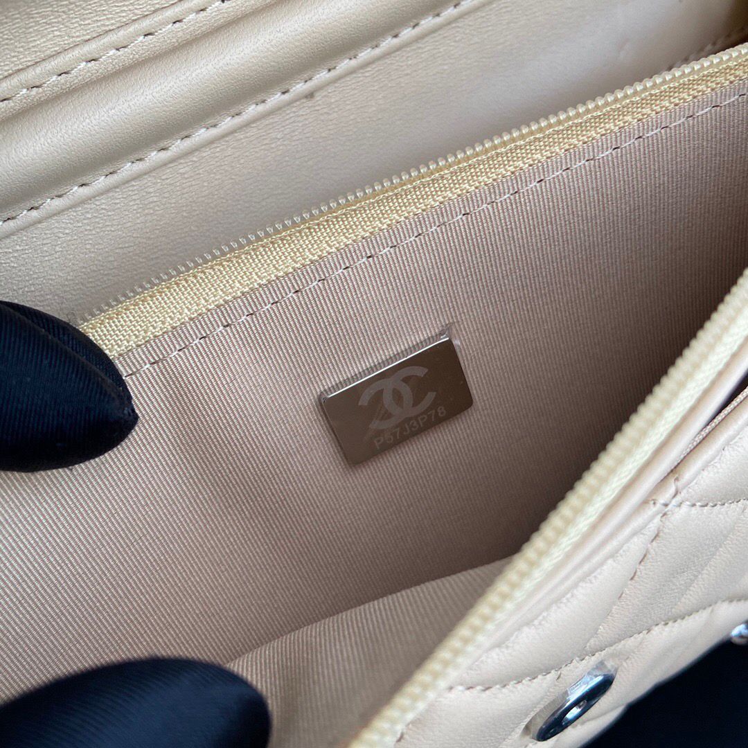 Chanel Wallet On Chain Beige Silver Hardware .