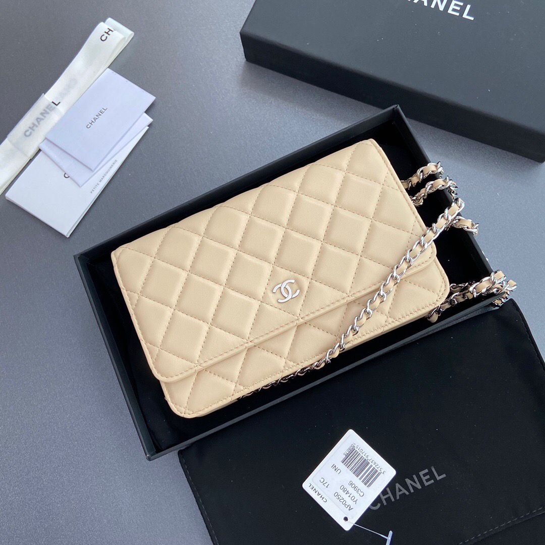 Chanel Wallet On Chain Beige Silver Hardware .