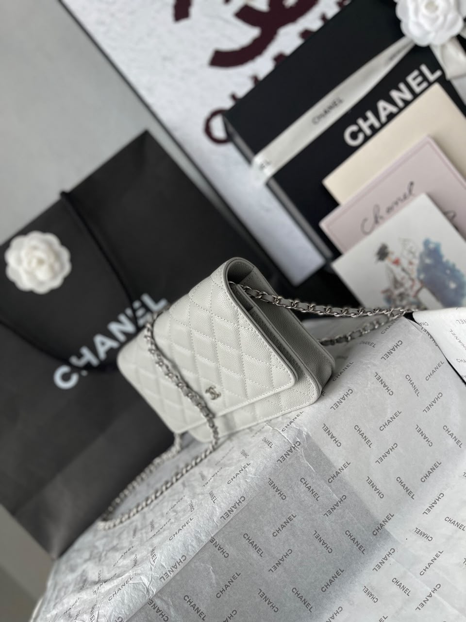 Chanel Wallet On Chain Grey Silver Hardware .