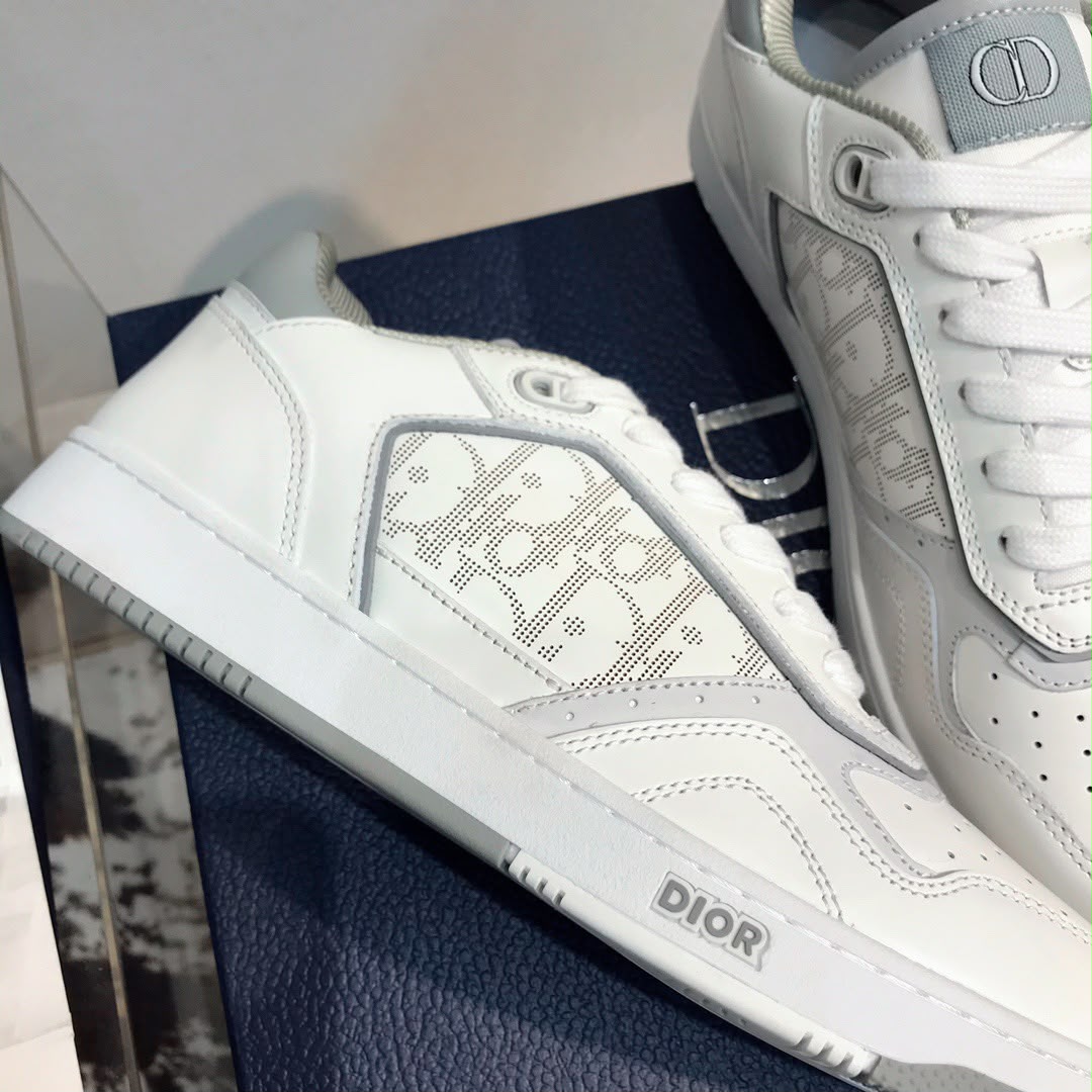 Christian Dior B27Dior B27 Low-Top Grey White .