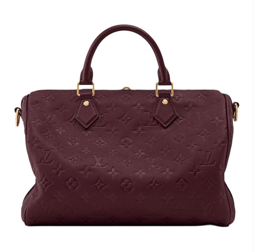 Louis Vuitton Speedy Soft 30
