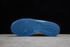 Nike Dunk Low Coast dD1503 100