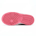 Nike Dunk Low  Surfista Prateado Infantil