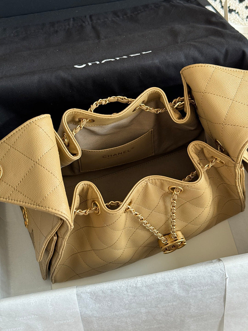 Bolsa Hobo  Chanel 25 Small Handbag