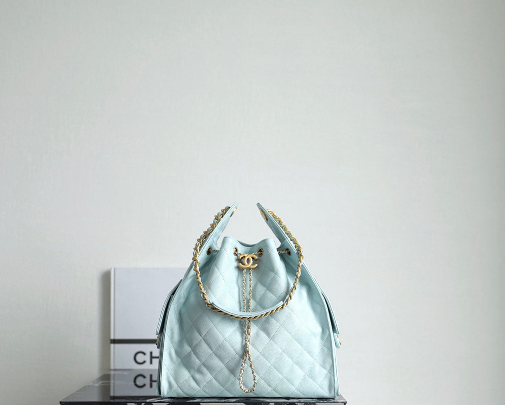 Bolsa CHANEL 25 Large