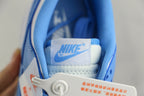 Nike Dunk Low Branco e Azul