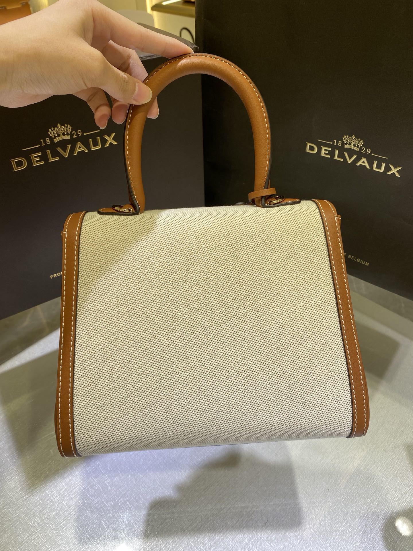 Delvaux Brillant Mini Leather Bag Off White / Caramelo
