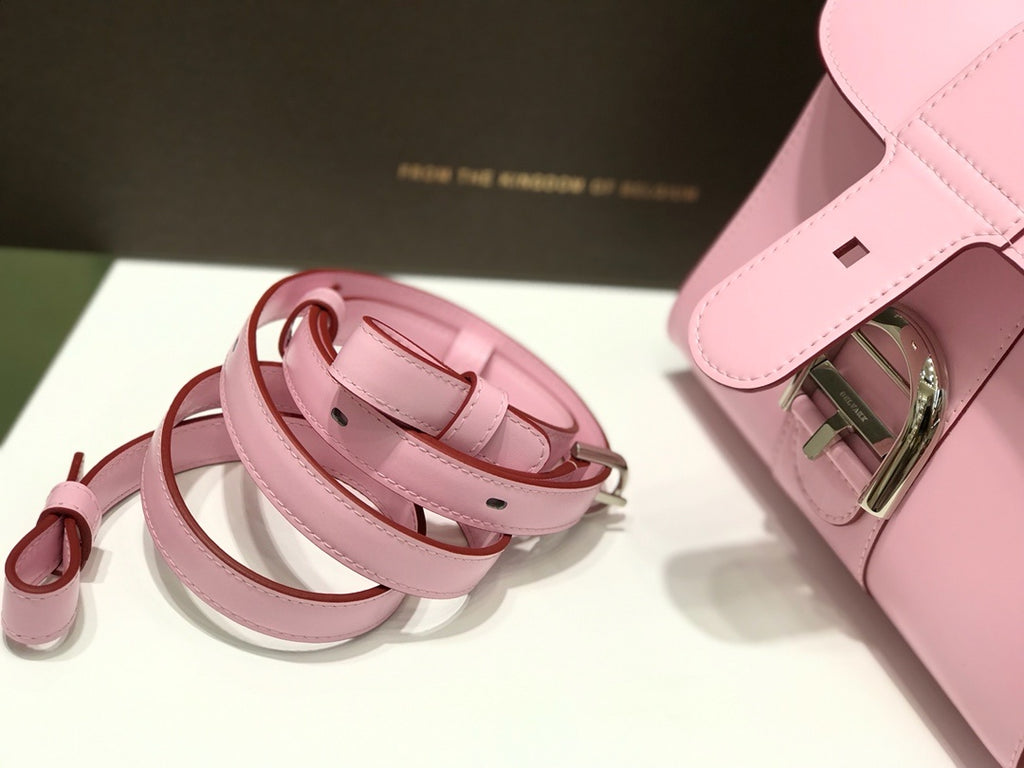 Delvaux Brillant Mini Leather Bag Pink Ferragens Prata