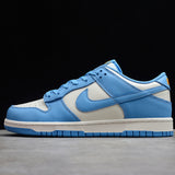 Nike Dunk Low Coast dD1503 100