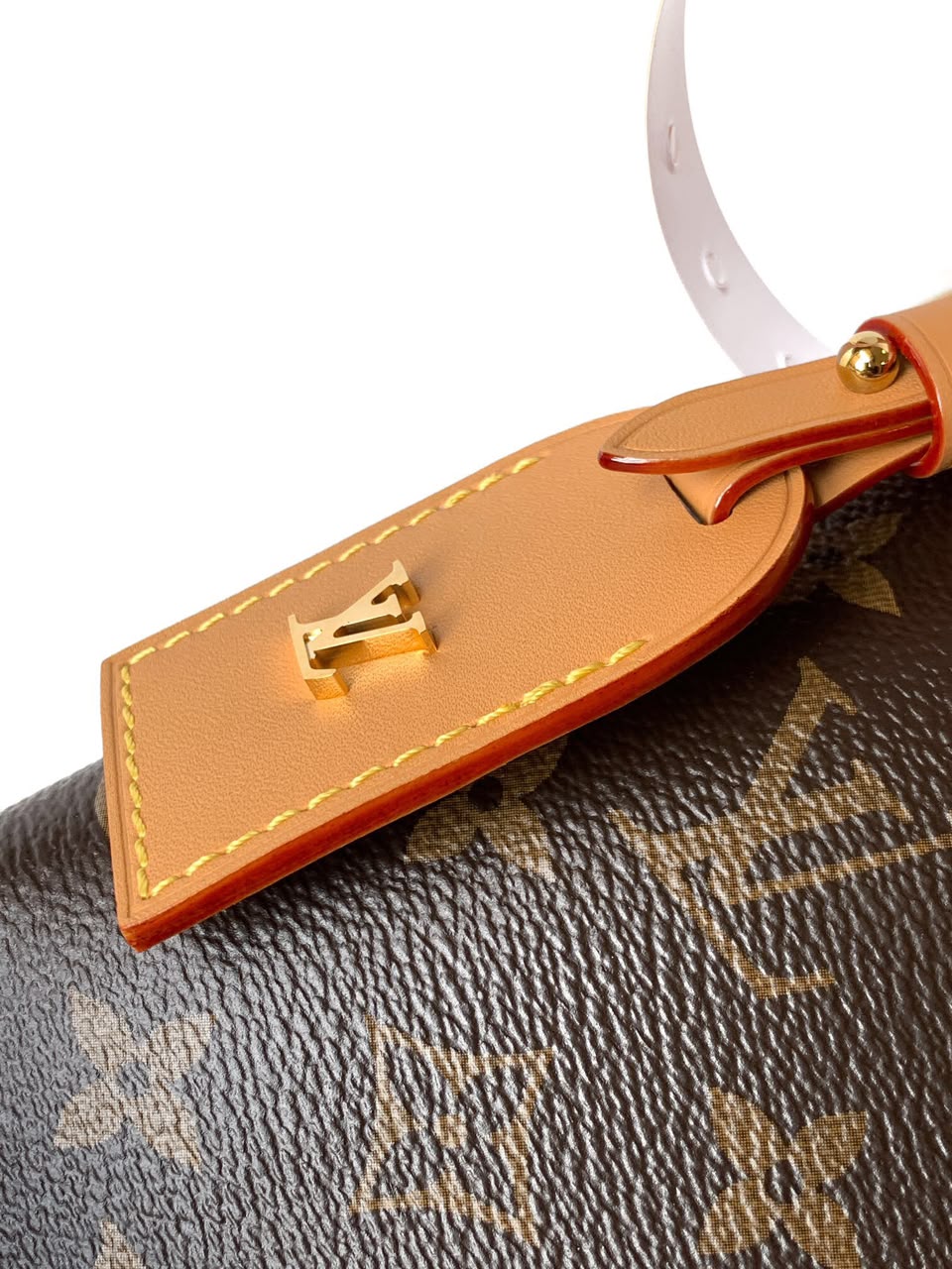 Louis Vuitton Bag CarryAll Monogram
