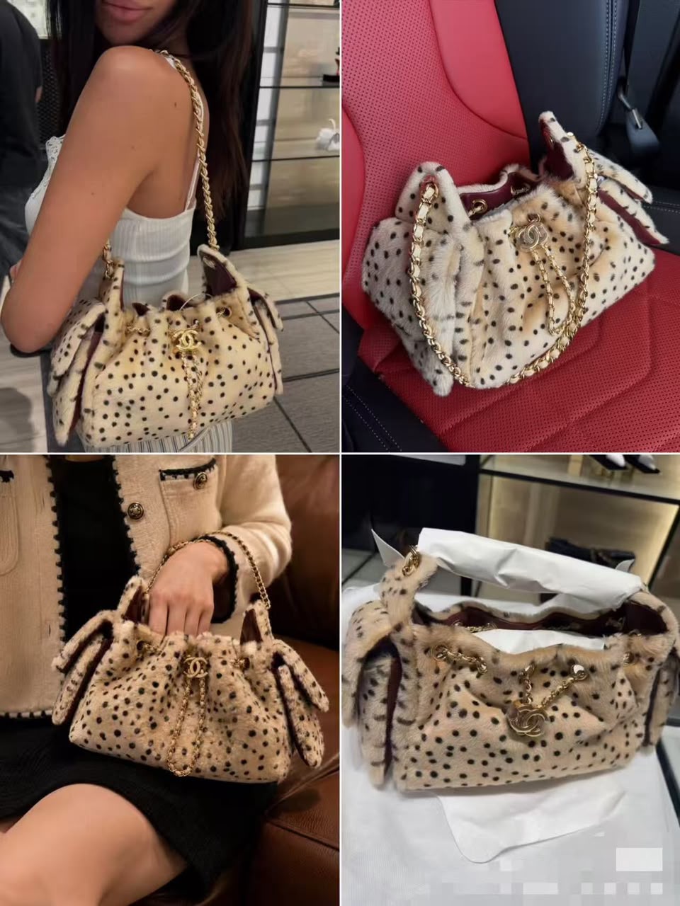 Chanel  Métiers d'Art Chanel 25 Mini Leopard