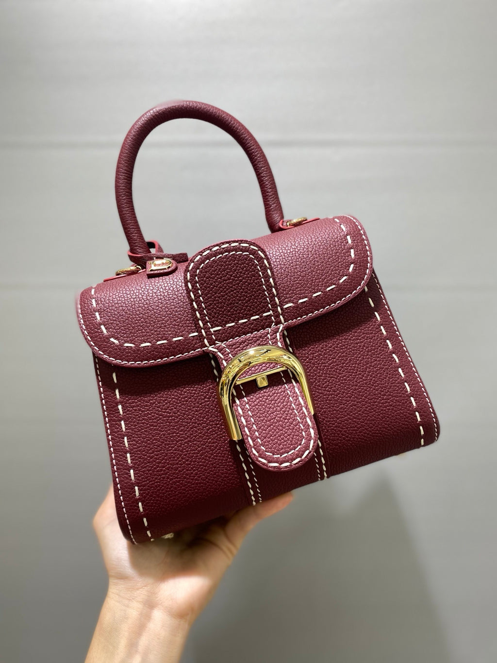 Delvaux Brillant Mini Leather Bag Bordô Ferragens Douradas