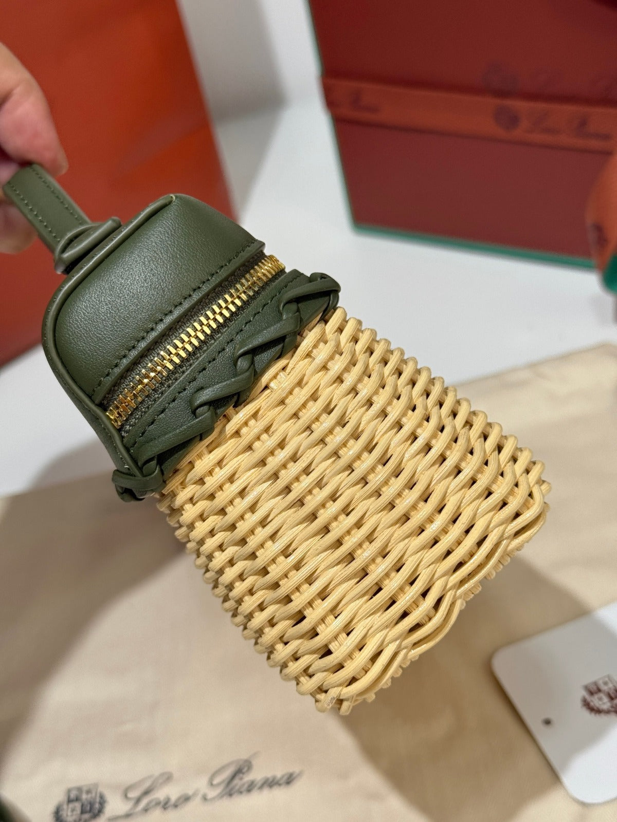 Loro Piana Bag Beige/Green